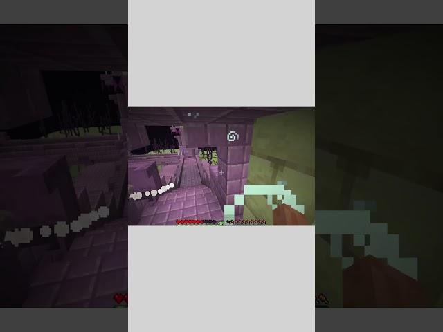 Blaelion vs Minecraft End City