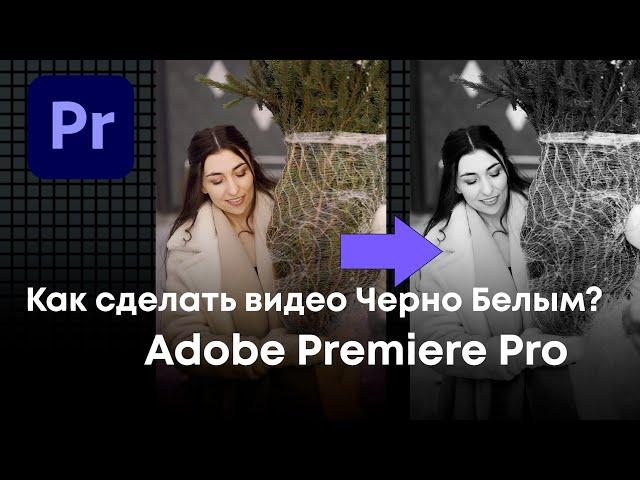 Как сделать видео Черно Белым в Adobe Premier Pro ?