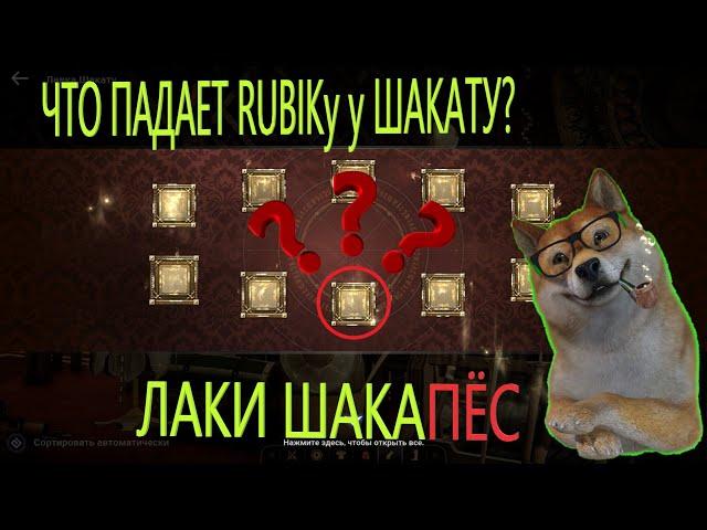 ЧТО ПАДАЕТ RUBIKу У ШАКАТУ? / УДВОЕННЫЙ ШАНС / Black Desert Mobile