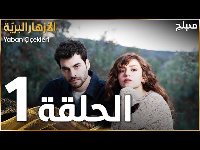 مسلسل الأزهار البريّة | الحلقة 1 | مدبلج | Yaban Çiçekleri