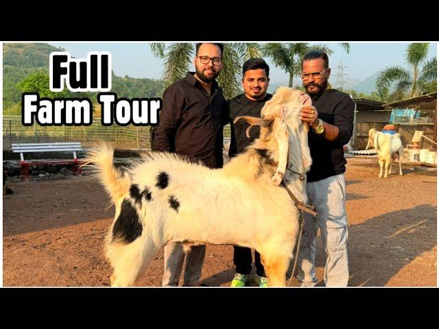 MD Goat Farm Tour with Saddam Bhai & Bin Waheed Goat Farm