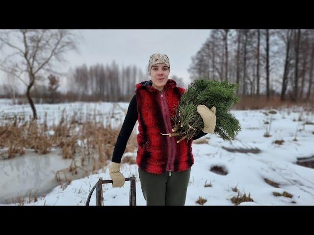 LIFE in the a remote Ukrainian village! CHRISTMAS IN THE VILLAGE!