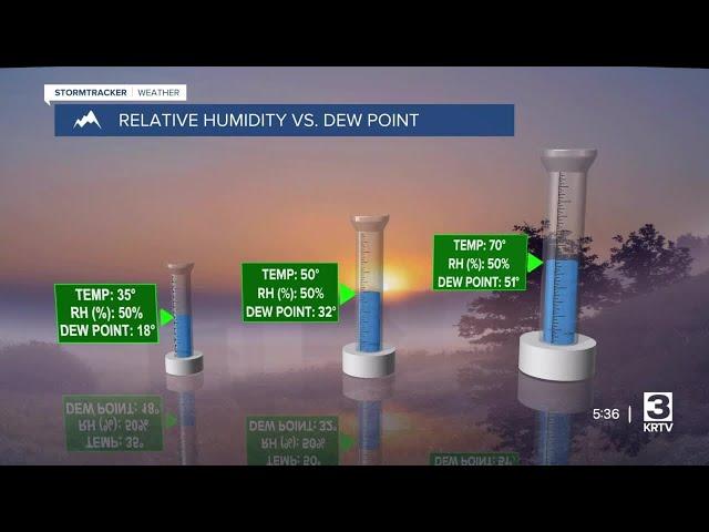 Understanding relative humidity and dew point