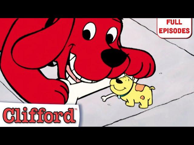 Goodbye T-Bone, The Truth About Cats and Dogs + More! | Full Episodes | Clifford the Big Red Dog