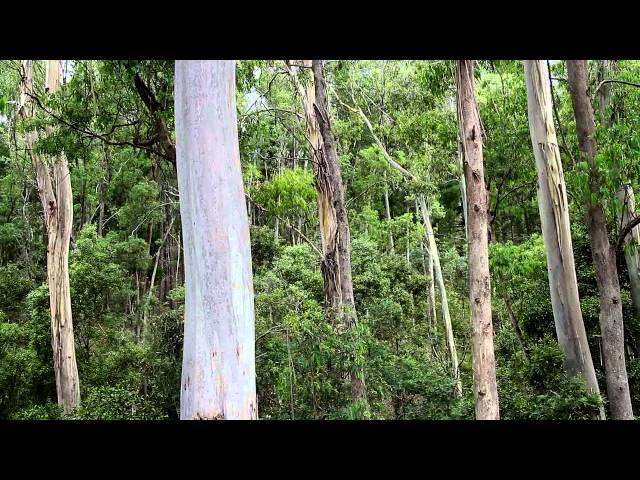 Time-lapse in HDR testing at bakers gully. - Marc Griffith #1