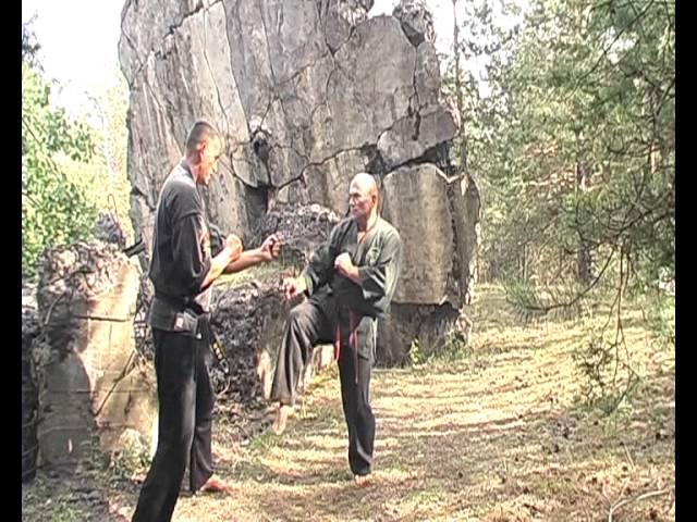 Школа Западный Дракон. Атакующая связка 1.