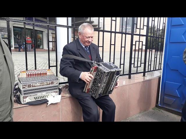 Виктор  Алишин Кузьминки  Москва 2016 год