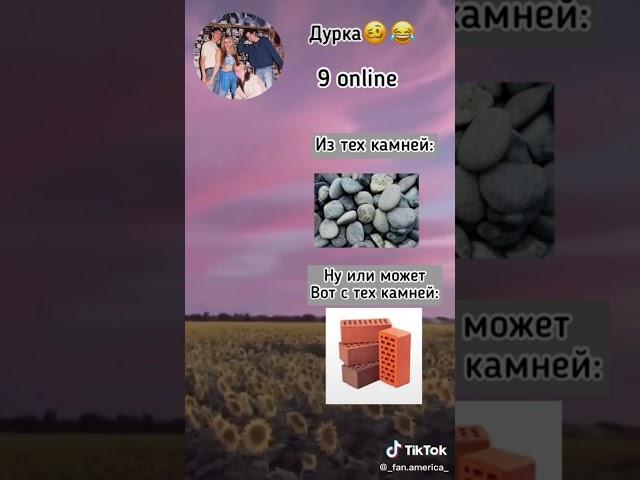 Круговорот СВИНЕЙ!