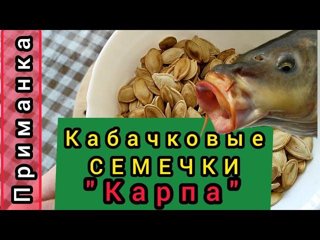 АРОМАТНАЯ Приманка НА КАРПА И КАРАСЯ!!! Кабачковые семечки для рыбалки!!!