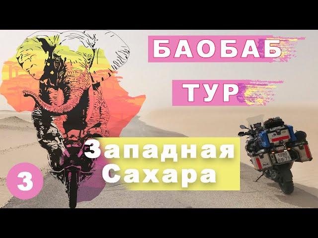 Баобаб тур. Западная Сахара. Мое большое путешествие на мотоцикле по Африке #3