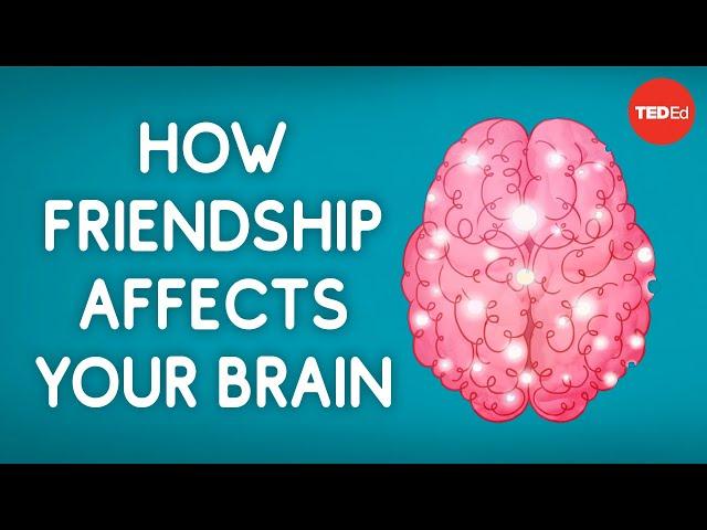 How friendship affects your brain - Shannon Odell