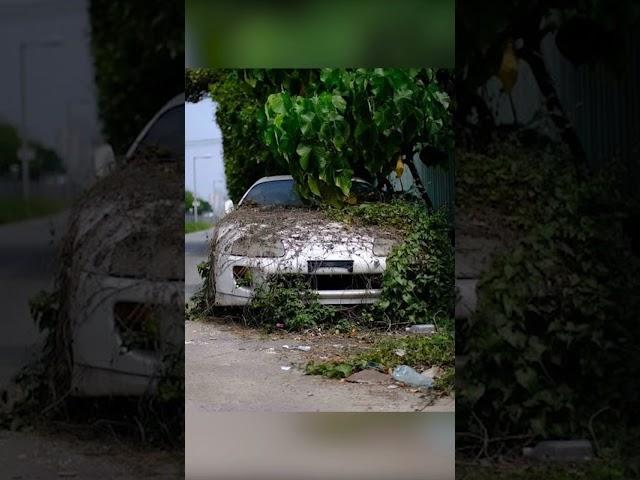 Abandoned Cars In Japan  #shorts #jdm #gtr #s13 #rx7 #jdmcars #supra #toyota #nissan #nissangtr