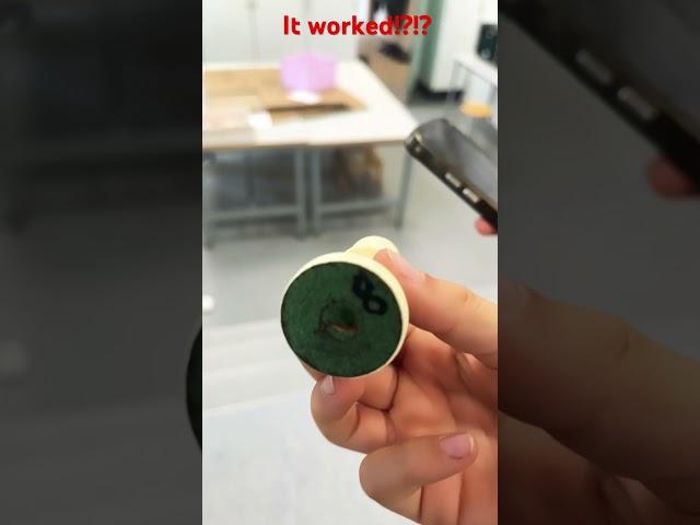 It worked!!??