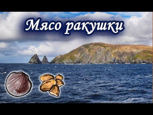 Адамуссиус. Русская Рыбалка.