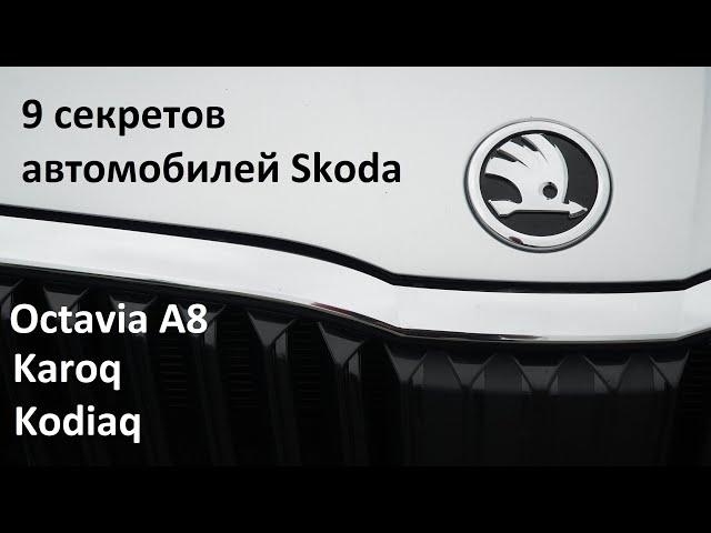 Что должен знать владелец Шкода Октавия, Карок и Кодиак Skoda Octavia A8, Skoda Kodiaq, Skoda Karoq