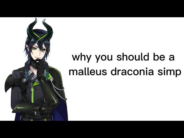 why you should be a malleus draconia simp