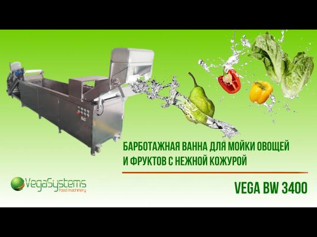 Барботажная ванна для мойки овощей и фруктов с нежной кожурой | Vega BW 3400