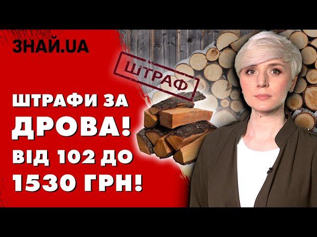 ШТРАФИ ЗА ВИРУБКУ ЛІСУ! Яке покарання загрожує українцям? Та що дозволяється?