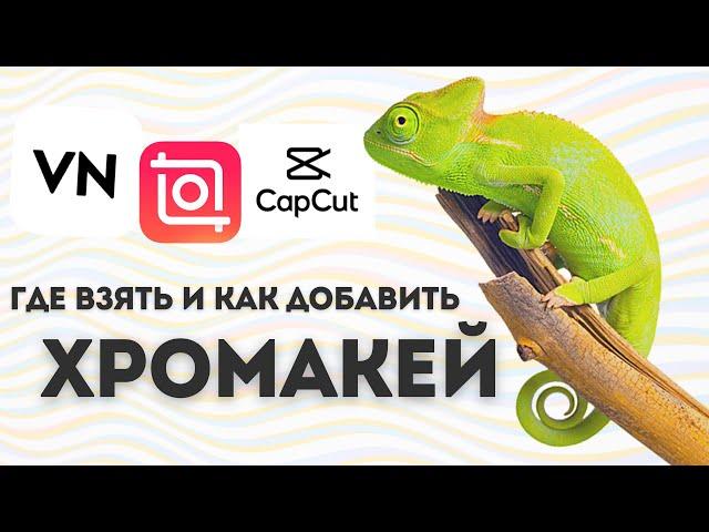 хромакей capcut inshot vn 2022