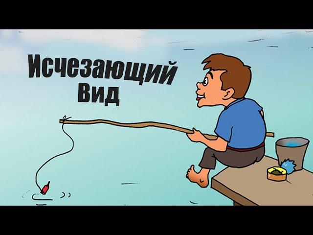 Почему рыбаки скоро перестанут ловить на поплавок?