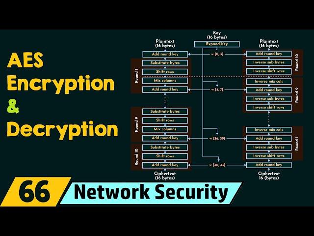 AES Encryption and Decryption