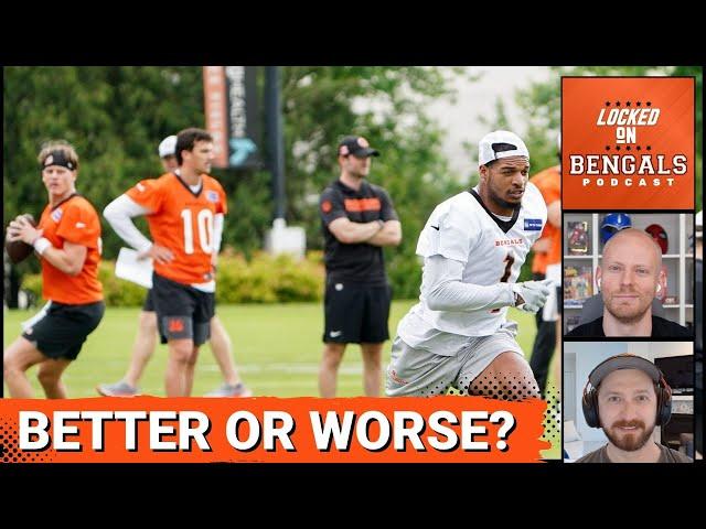 Where Are Cincinnati Bengals Better and Where Are They Worse?