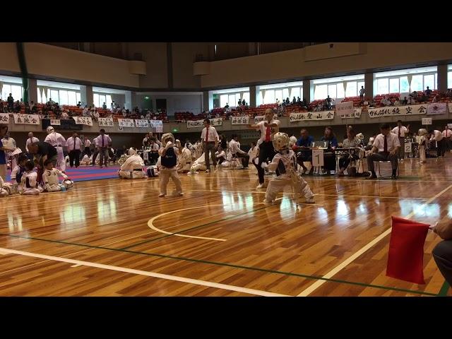 KOSHIKI KARATE - 32th Japan Open International Tournament