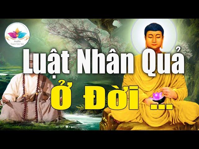 Nhân Quả Nghiệp Báo Luân Hồi "Lời Phật Dạy Về Nghiệp Báo" Không Nên Xem Nhẹ #Mới