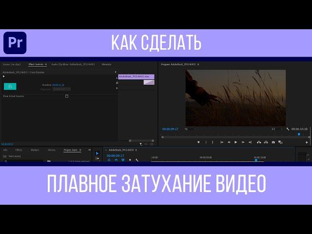 Как сделать затухание видео в Premiere Pro №2