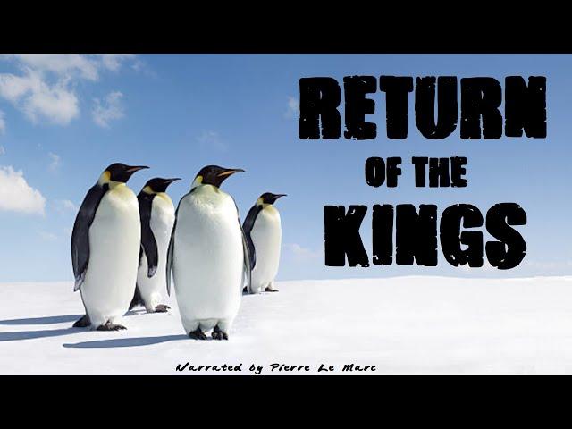 CH5 - Nature Documentary - Polar Odyssey: Return of the Kings (1998)