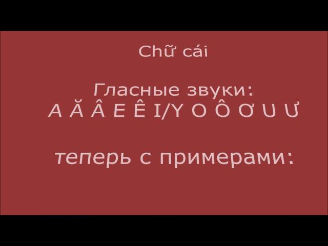 Звуки вьетнамского алфавита с примерами - гласные