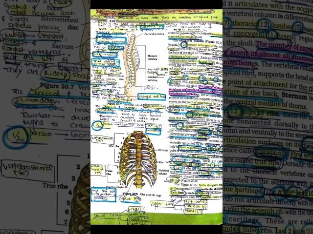 NCERT Highlights by Toppers #toppers #studyplan #motivation #biology #mbbs  #ncertpdf @Amrvedaa