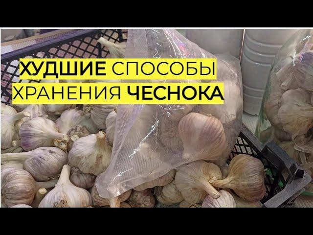 Никогда не храните так чеснок! Весь сгниет.