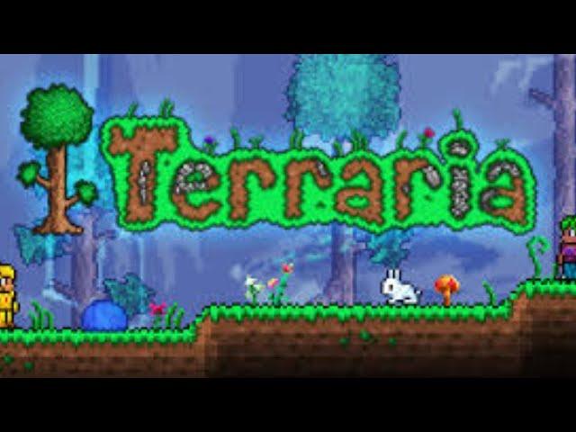 Playing Terraria