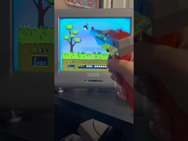 Playing Mario / Duck Hunt