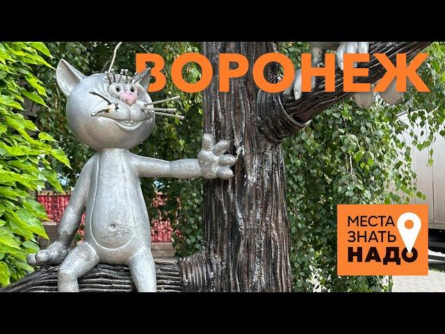 02/24. ВОРОНЕЖ, НЕЛЖА, БОБРОВЫЙ ГОРОДОК: МЕСТА ЗНАТЬ НАДО!