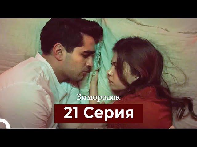 Зимородок 21 Cерия (Русский дубляж)