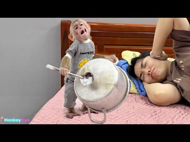 Monkey Kyo is so naughty, you can't help but laugh!