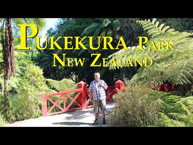 4K Pukekura Park. New Zealand 