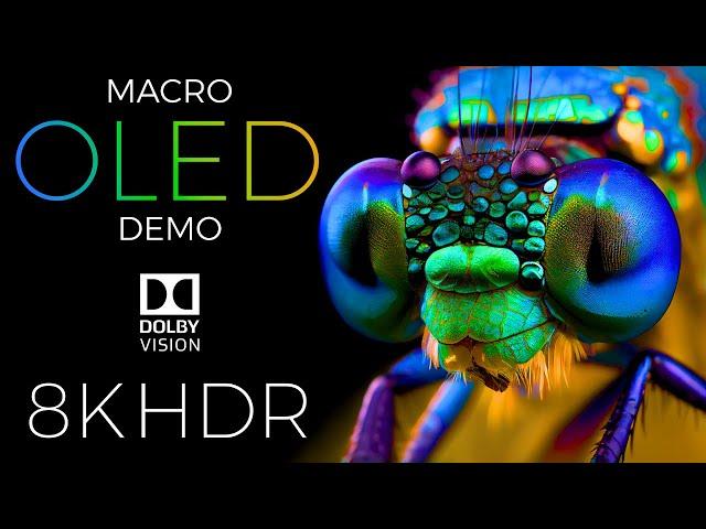 Macro World OLED Demo HDR 8K Ultra HD Dolby Vision™ 60fps