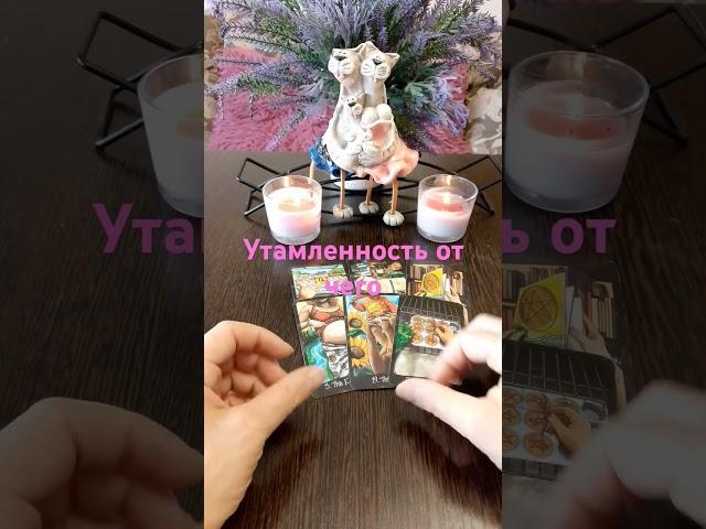 Утомленность от чего кого #егочувства #гадание #tarofortune #таролог