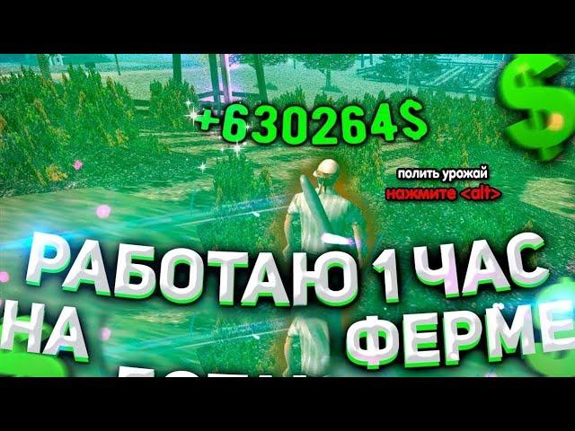 ARIZONA RP BRAINBURG|1 ЧАС НА ЧАСТНОЙ ФЕРМЕ!!ХОРОШИЙ ЗАРАБОТОК?!