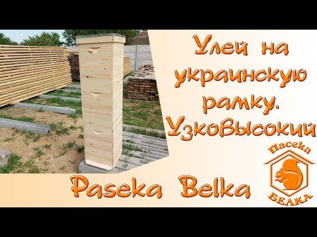 Beehive on the Ukrainian frame. Uzkovysoky hive