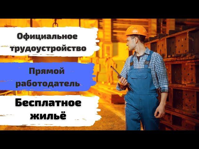 Работа в Чехии актуальная вакансия