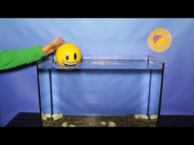 Sink or Float - Ball