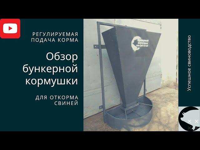 Обзор настенной бункерной кормушки для откорма свиней. Бункерная кормушка для свиней