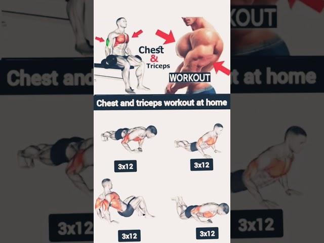 chest and triceps workout ️ #viral #gaming #motivation all workout 881