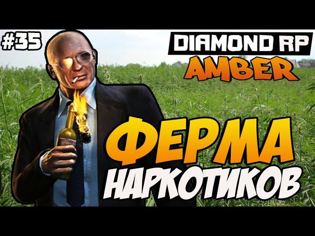 Diamond RP Amber [#35] Ферма наркотиков! [SAMP]