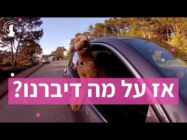 באיזו שעה כדאי לצלם סרטון וידיאו - רונית מלמד