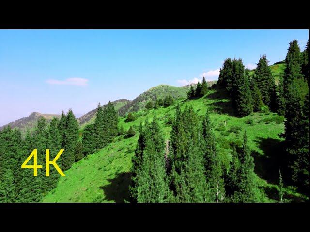 Горы Алматинской области. Mountains of Almaty region. Съемка с дрона.  Great Tien Shan Mountains